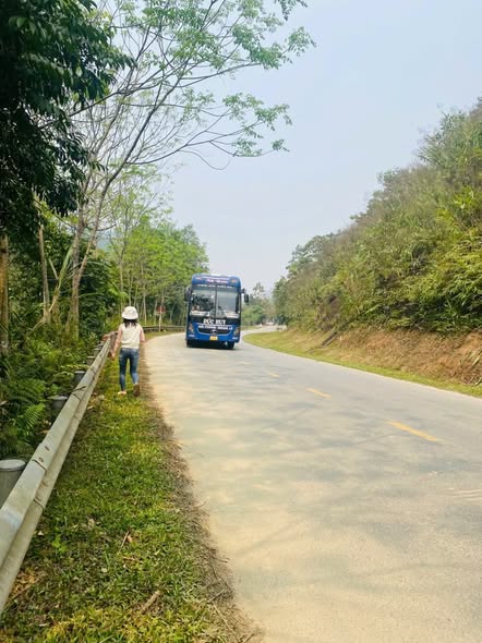 Đất trồng cây lâu năm Hạ Hòa 2378m² giá 1.069 tỷ - Cơ hội đầu tư tuyệt vời!