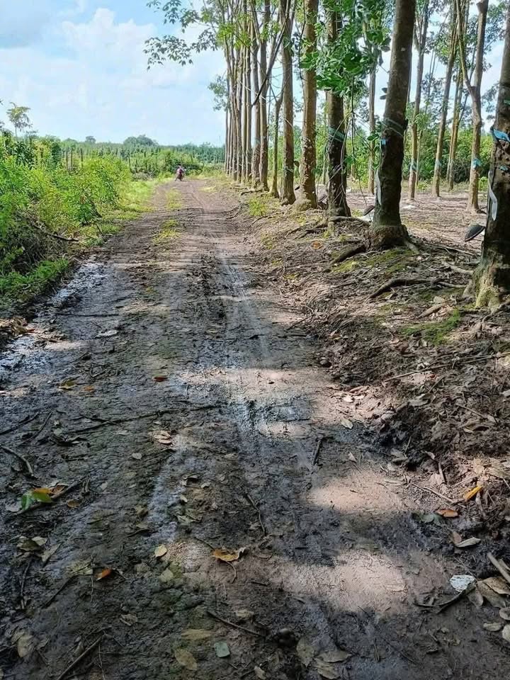 Đất Farm 13500m² tại Thôn 5, Bù Đốp, giá 2.295 tỷ - Cơ hội đầu tư vàng!