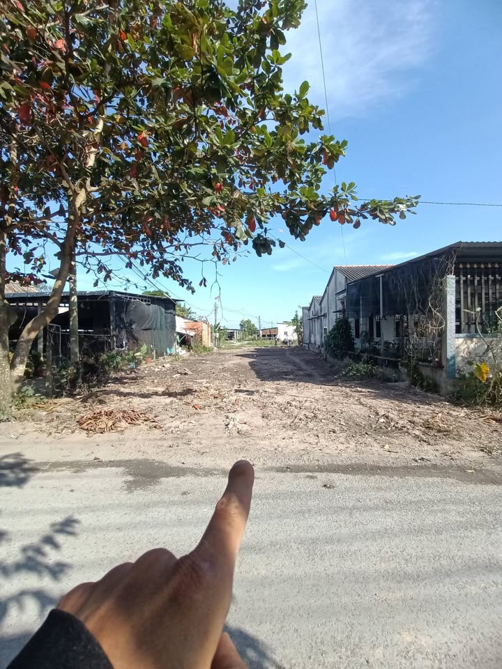 Đất thổ cư mặt tiền 8m tại Xã Mỹ Hạnh, 145m² giá chỉ 1.3 tỷ - Cơ hội đầu tư tuyệt vời!