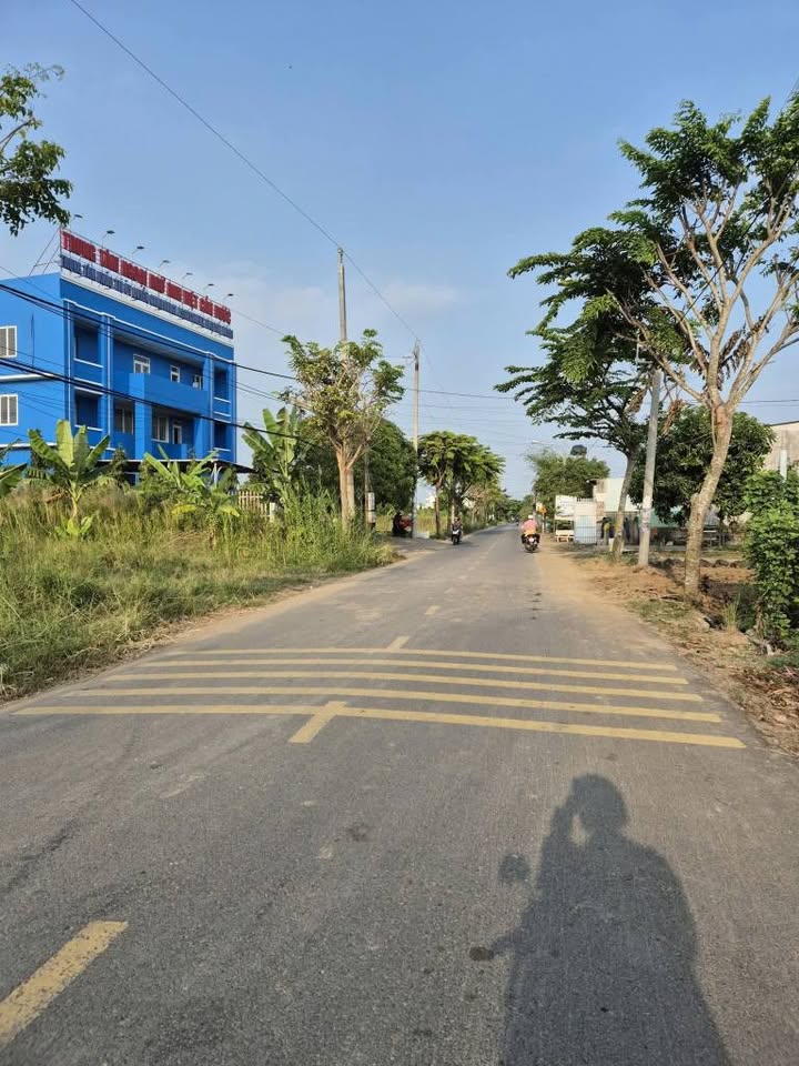 Đất lúa khu 1B, Cần Đước 5690m² giá 1.35 tỷ - Đầu tư sinh lời ngay!