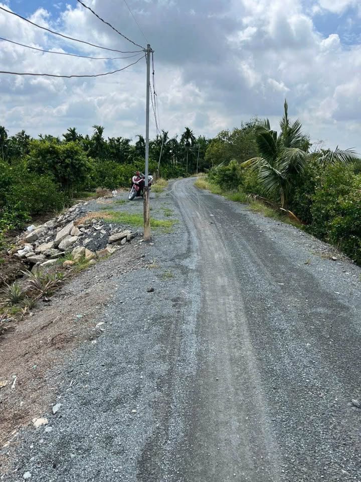 Đất nền Thạnh Hòa, Bến Lức 1000m² giá 920 triệu - Đường ô tô vào tận nơi!