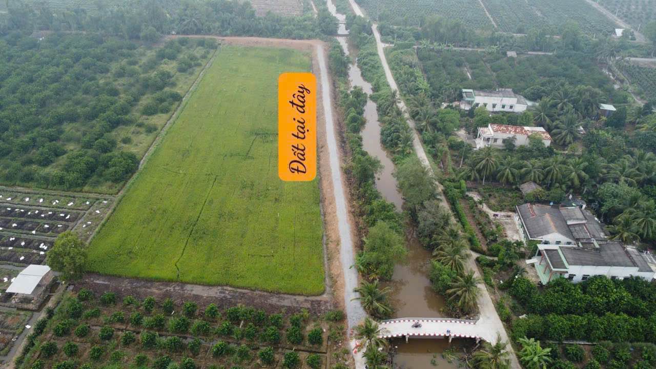 Đất vườn 500m² tại Ấp 6, Xã An Thạnh, Long An - Giá chỉ 650 triệu!