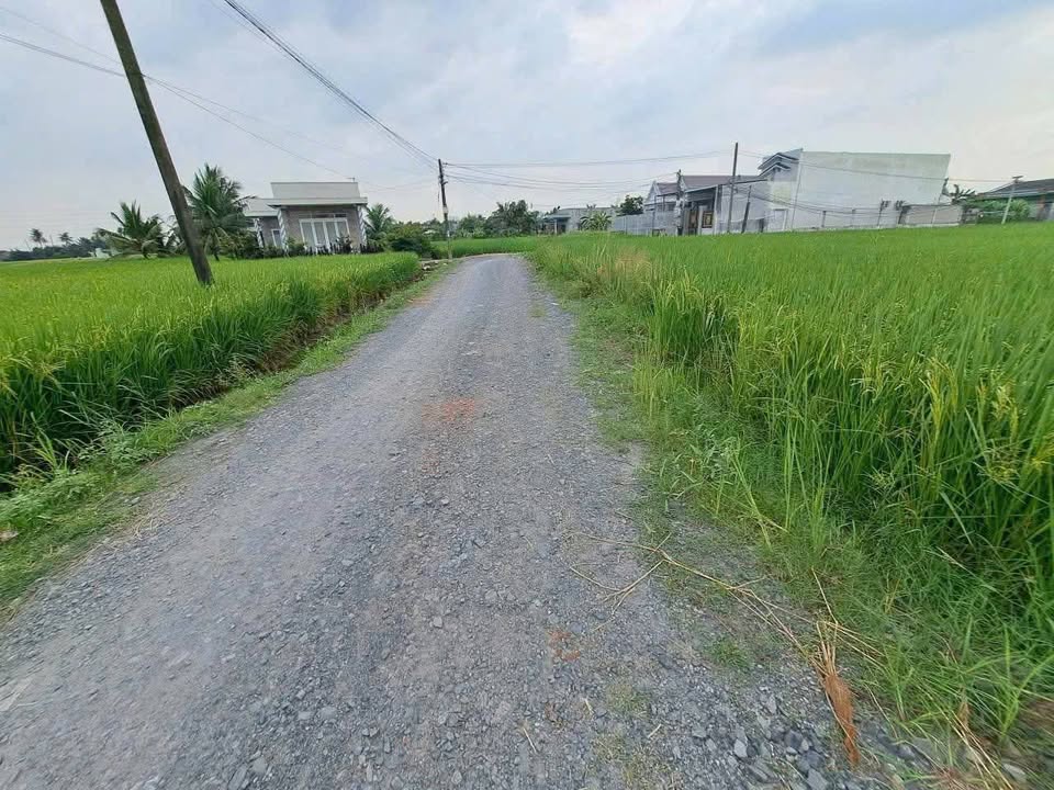 Đất nền thổ cư 144m² tại Nhựt Chánh, Bến Lức - Giá chỉ từ 730 triệu!