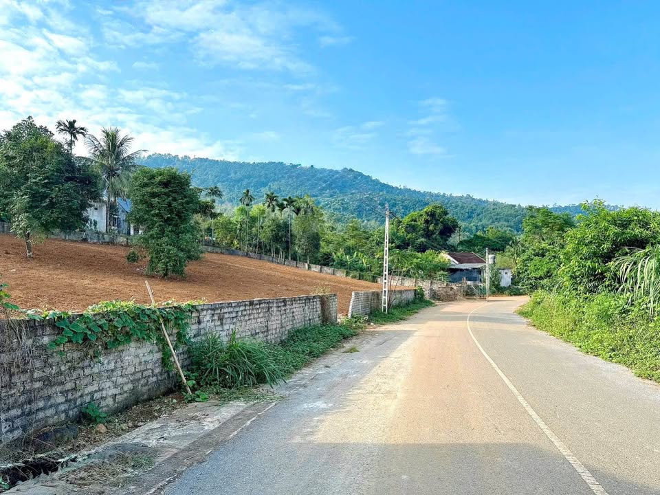 Đất thổ cư Suối Mơ 926m² giá thỏa thuận - Đầu tư sinh lời tuyệt vời!