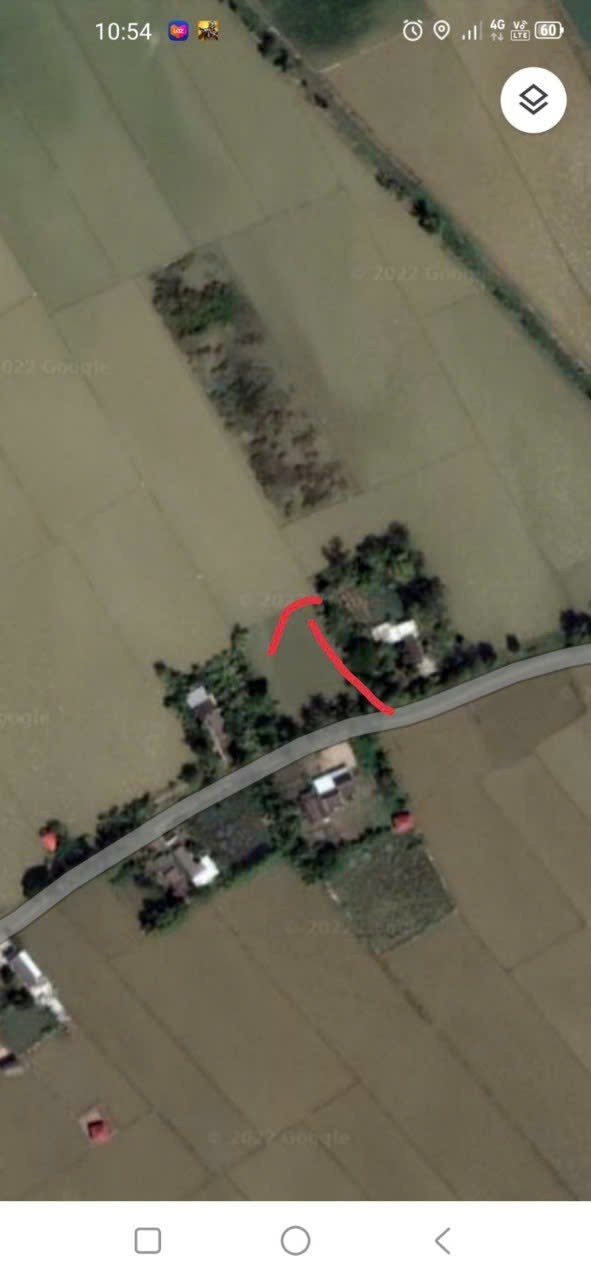 Đất ruộng chính chủ tại xã Long Thạnh, Vĩnh Lợi, Bạc Liêu 10,000m² - Giá thương lượng