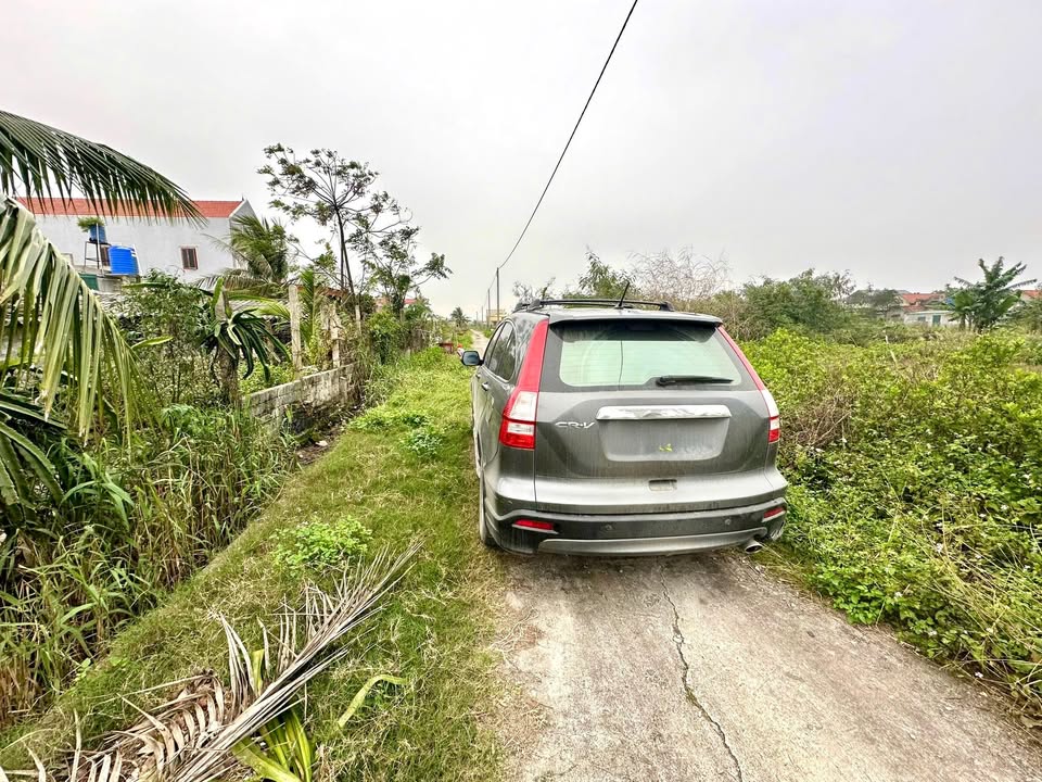 Đất liền kề hướng Nam tại Xã Kim Đông, 200m² - Cơ hội đầu tư hấp dẫn!