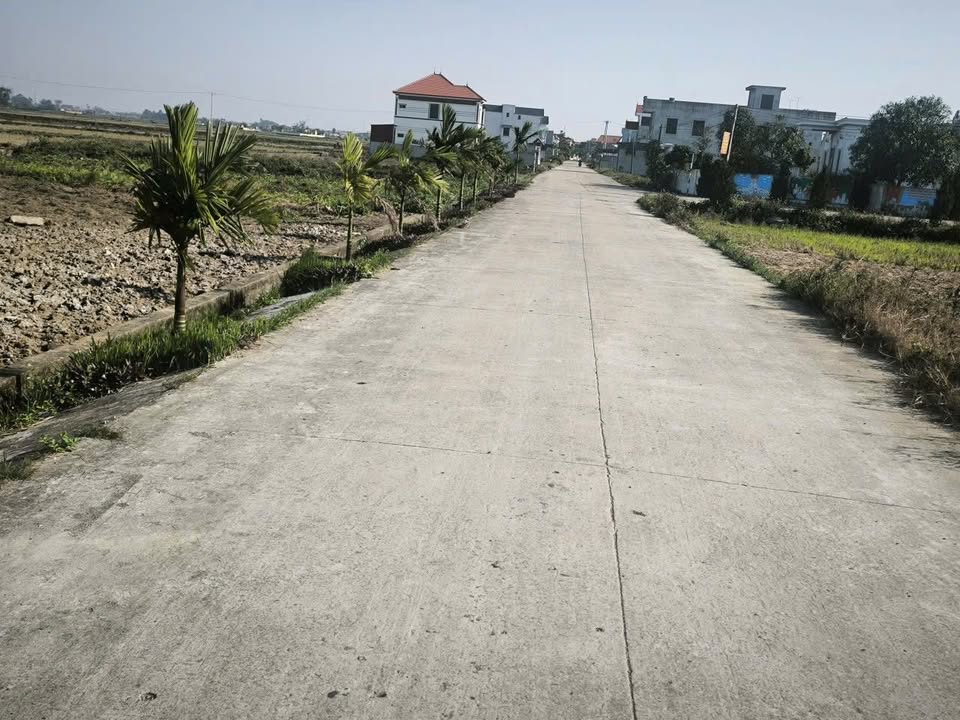 Đất nền Phú Hạ, Hoa Lư 100m² giá thỏa thuận - Tiềm năng đầu tư lớn!