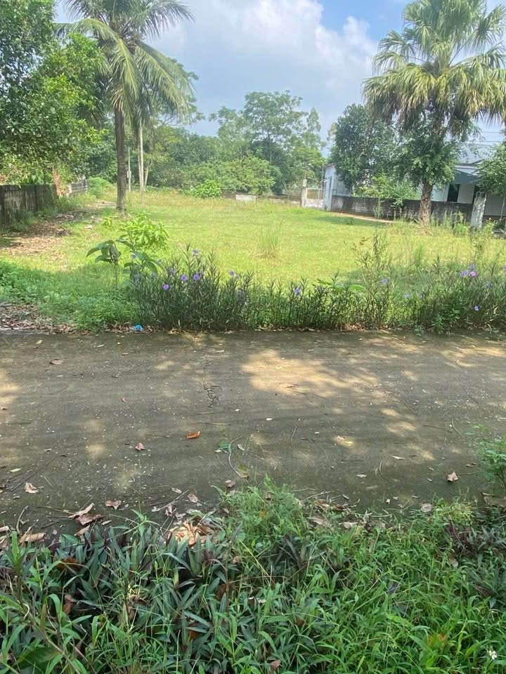 Đất nền Phương Định, Trực Ninh, 108m² giá 600 triệu - Cơ hội đầu tư hấp dẫn!