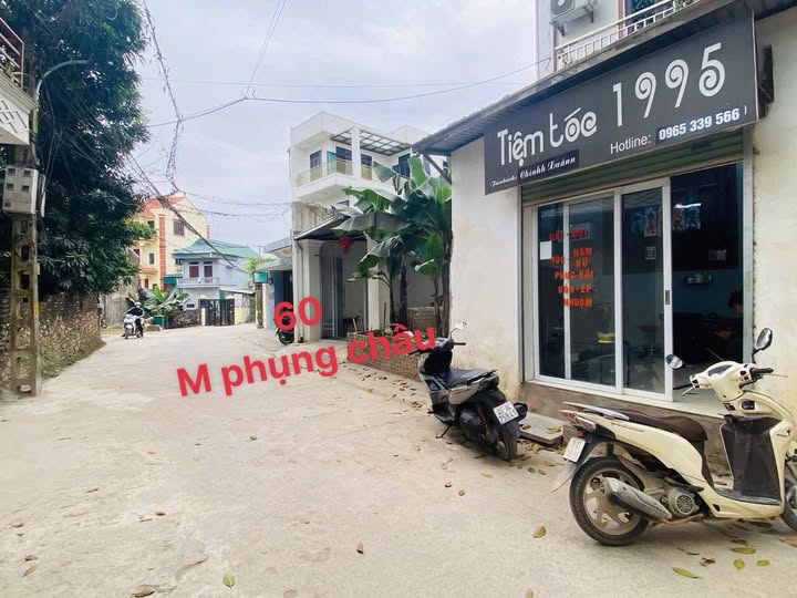 Đất nền Phụng Châu, Chương Mỹ 60m² giá 3 tỷ - Đầu tư sinh lời hấp dẫn!