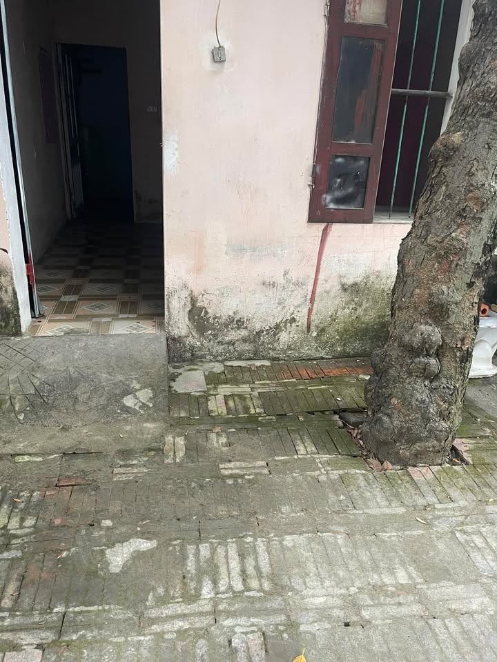 Phòng trọ cho thuê tại Khu 3, Phường Võ Cường - Giá 1.1 triệu/tháng