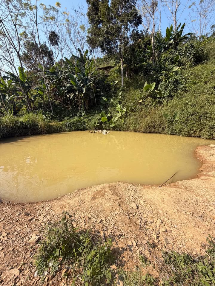 Đất nền 3000m² tại xã Côn Minh - Giá chỉ 450 triệu VND - Cơ hội đầu tư hấp dẫn!