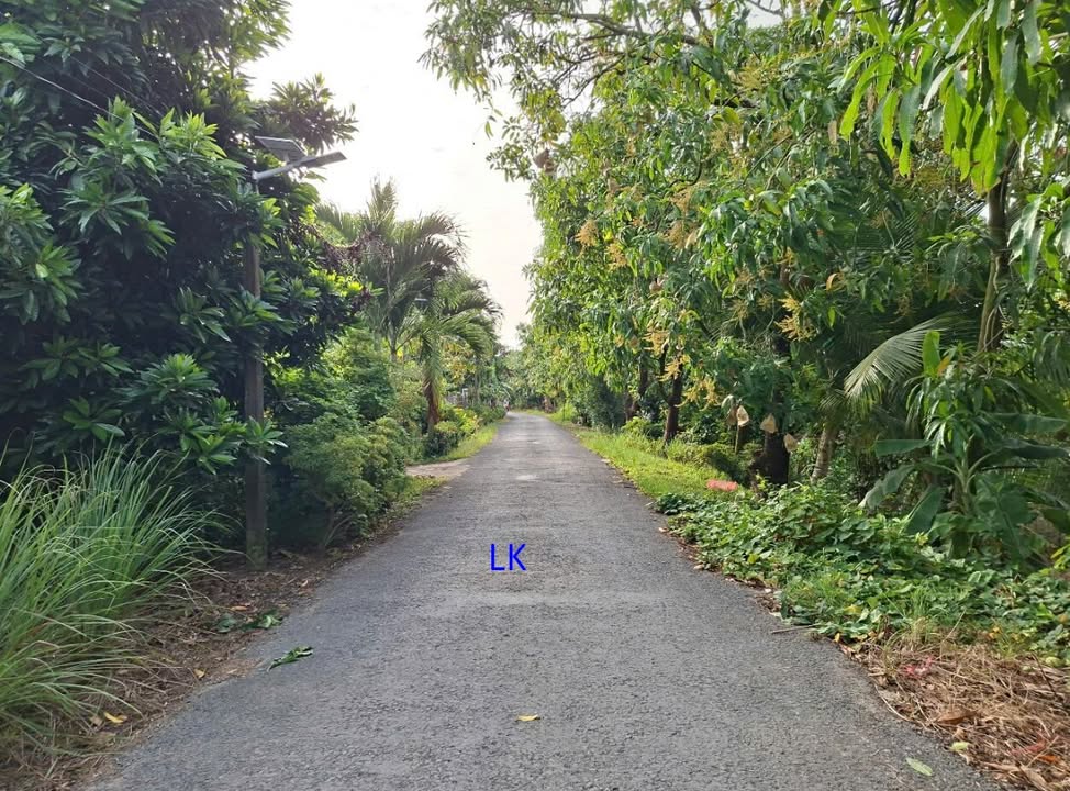 Đất nền thổ cư 760m² xã Bình Hàng Trung, Đồng Tháp giá 1 tỷ - Sẵn sàng cho xây dựng!