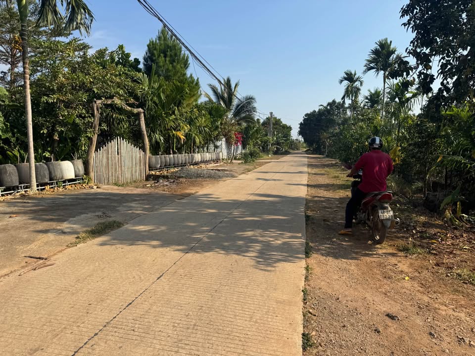 Đất thổ cư 213m² tại Thôn 8, Xã Tâm Thắng, Cư Jút - Giá 534.4 triệu - Đầu tư sinh lời!