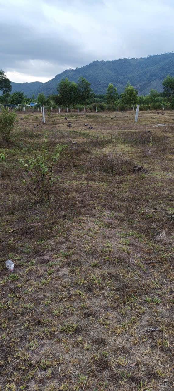 Đất thổ cư 600m² xã Khánh Bình - Đầu tư sinh lời chỉ 399 triệu!