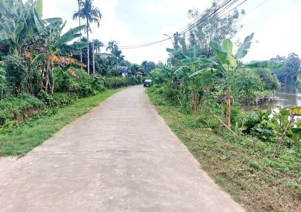 Đất nền đẹp tại Xã Phú Thịnh 278m² giá chỉ 500 triệu - Tiềm năng đầu tư cao!