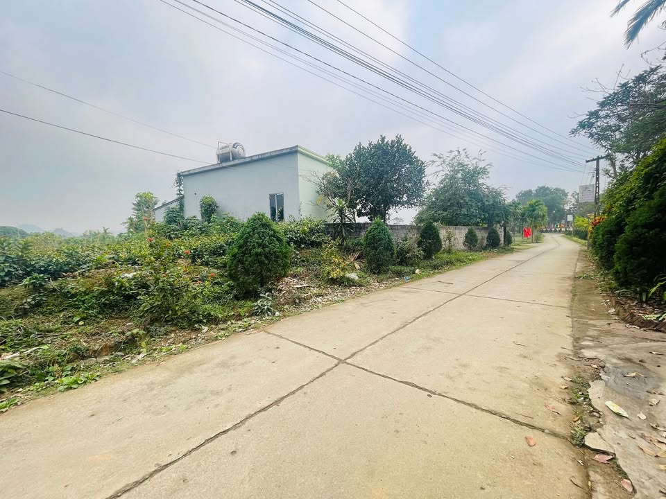 Lô đất đẹp Thanh Cao 506m² giá thỏa thuận - Đón đầu KCN & Vành đai 5!