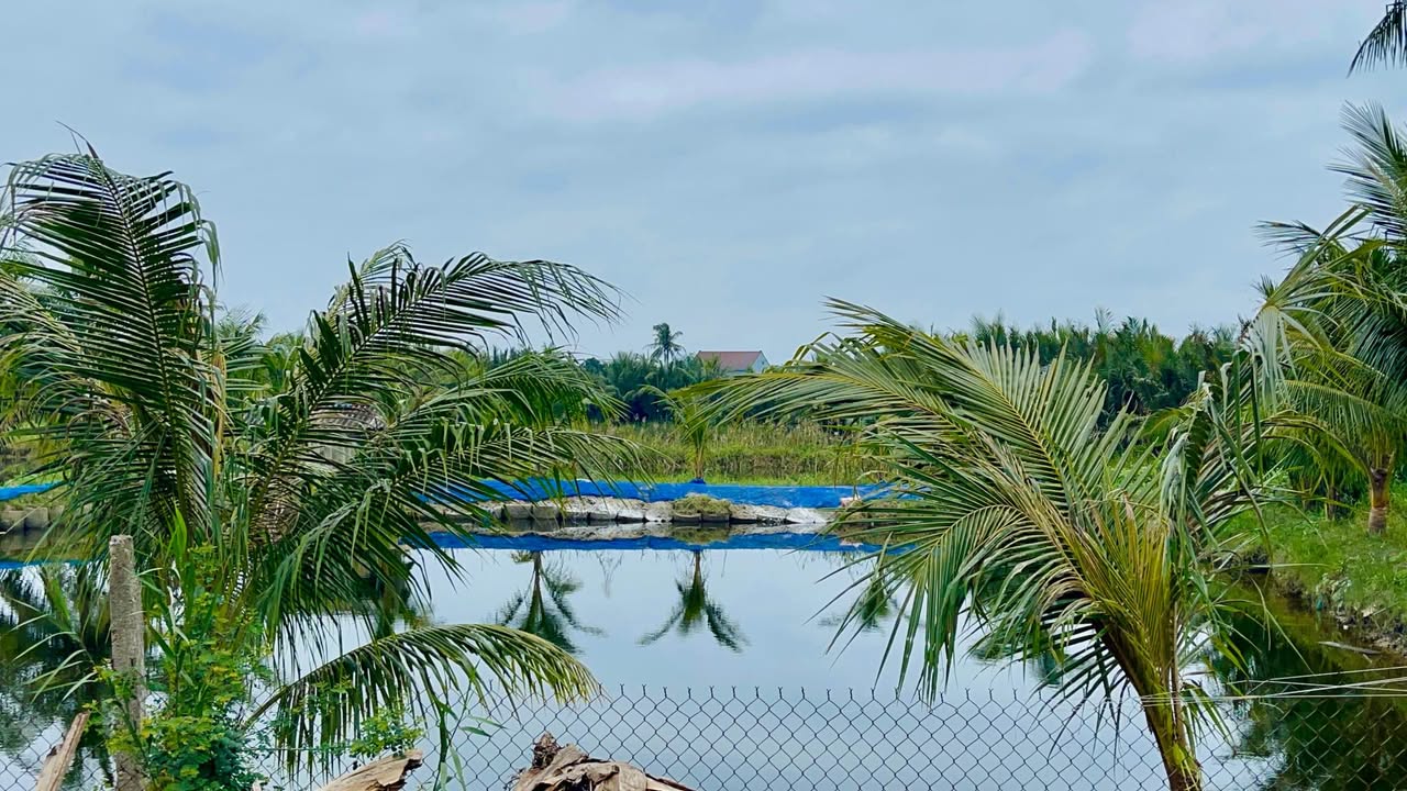 Đất nền Cẩm Thanh, Hội An 172m² giá 3.6 tỷ - View đẹp, đầu tư sinh lời!