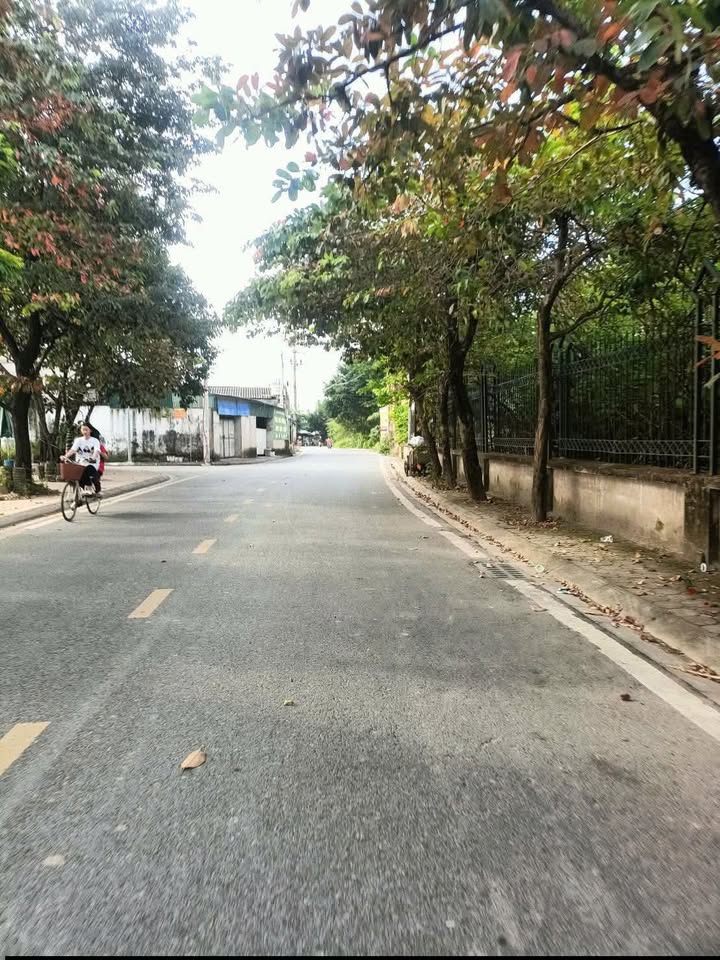 Đất Bát Tràng 230m² giá 8 tỷ - Mặt tiền rộng, cơ hội đầu tư tuyệt vời!