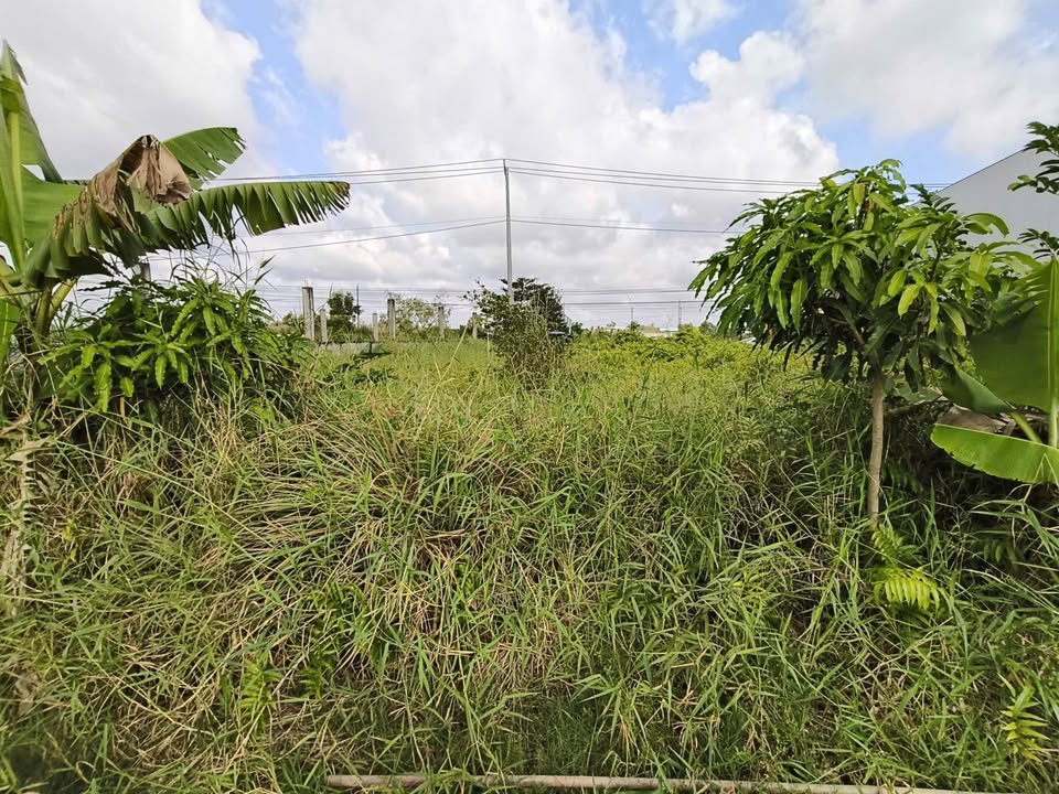 Đất thổ cư 300m² tại cầu Cái Nhúc, Cà Mau - Giá chỉ 3.7 tỷ!