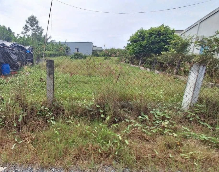 Đất Thổ Vườn Tại Nhựt Tảo 1281m² Giá 1.6 Tỷ - Đầu Tư Lợi Nhuận