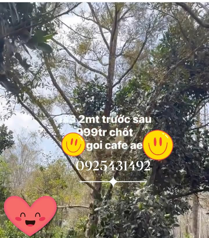 Đất nền Xã Xà Bang 1300m² giá 1 tỷ - Đất đỏ bazan, vuông vức, sẵn sàng đầu tư!