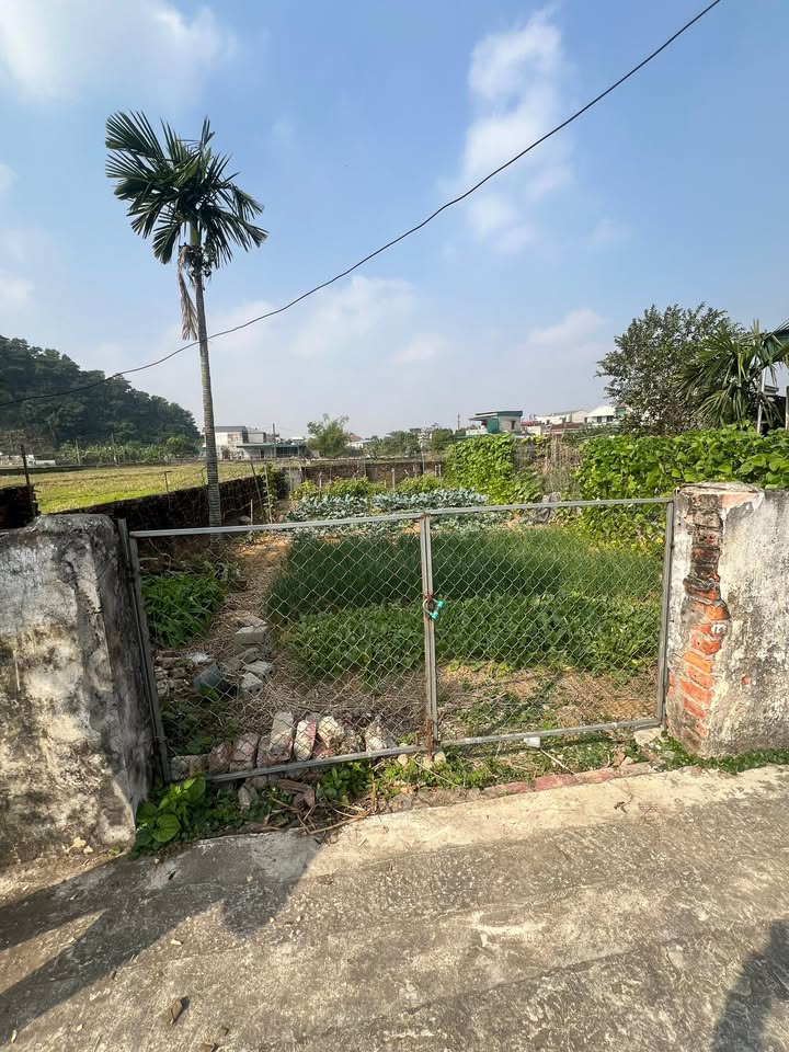 Đất thổ cư Tổ dân phố Văn Côi, Thị trấn Gôi 134m² giá 1 tỷ - Mặt tiền 8m, ô tô vào tận đất!