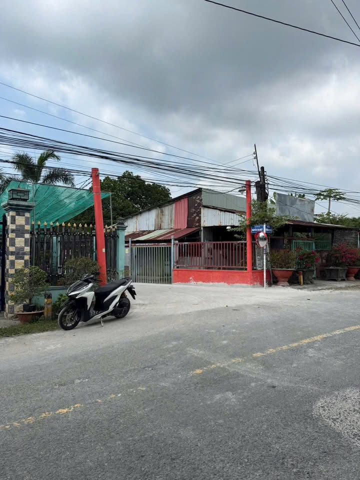 Đất Lúa Tân Phước Tây, Long An 3200m² giá chỉ 1.216 tỷ - Mặt tiền đường Nguyễn Thị Nhứt