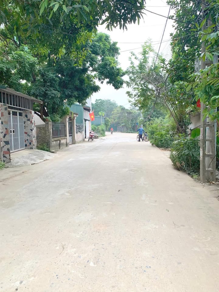 Đất nền Làng Kim Nỗ, Đông Anh 124m² - Tiềm năng sinh lời cao!