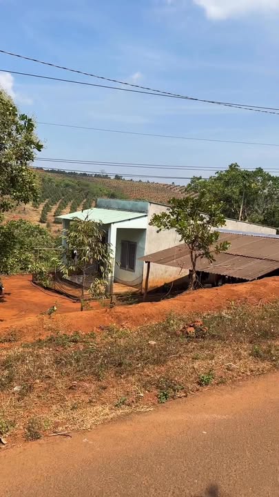 Đất thổ cư 400m² tại xã Đồng Nai, huyện Bù Đăng - Giá chỉ 2.6 tỷ!