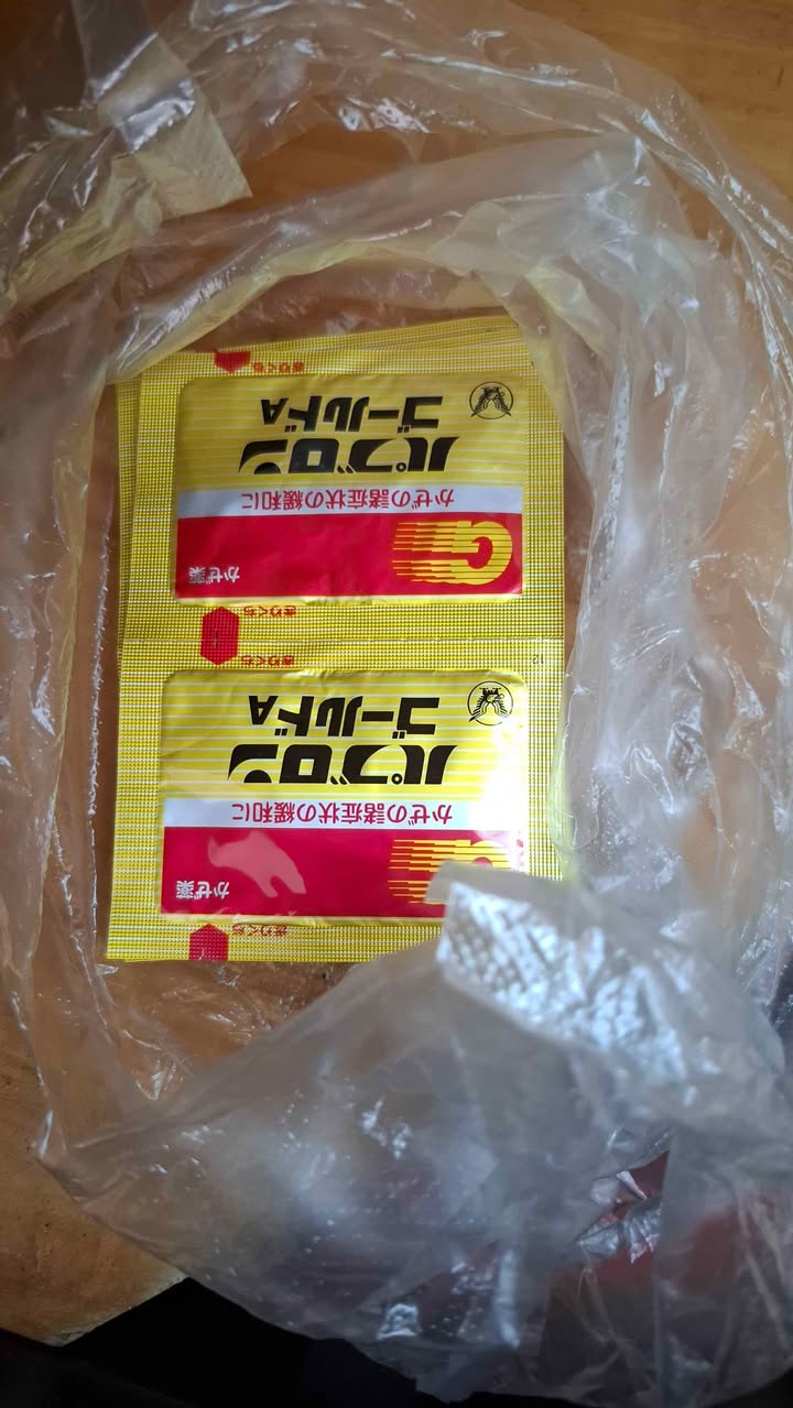 Nhà phố Thế Lữ, Hồng Bàng 33m² giá 1.75 tỷ - Đầu tư sinh lời!