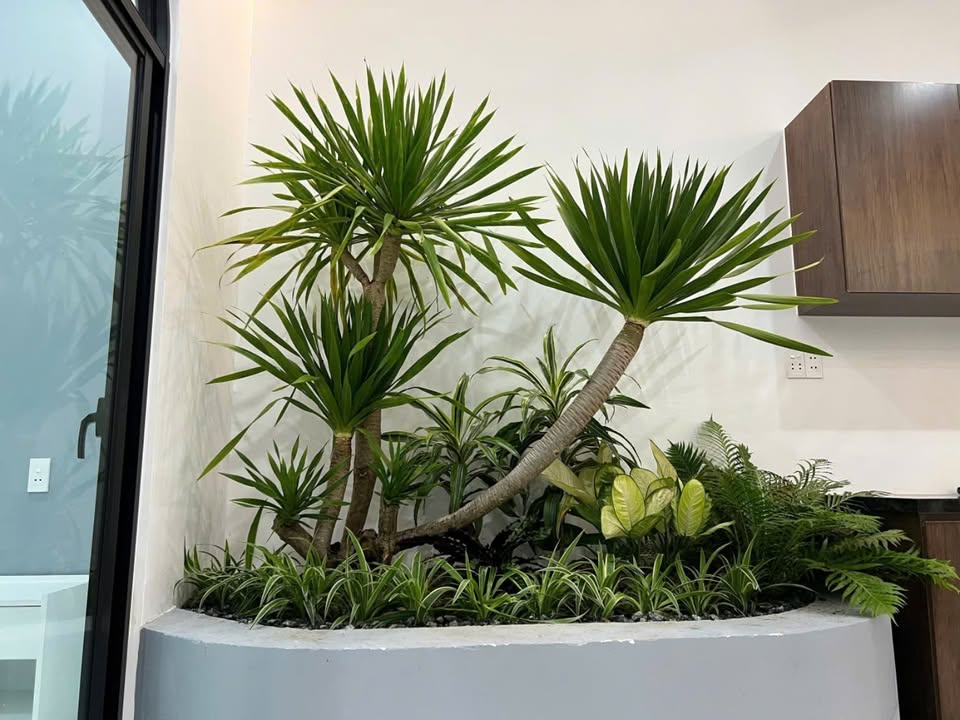 Căn hộ đẹp An Mỹ, Cẩm Châu, Hội An 108m² giá 6 tỷ - Sẵn sàng vào ở ngay!