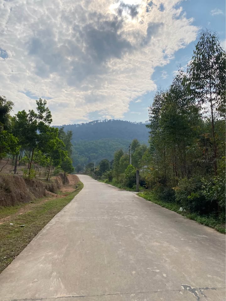 Đất nền thôn Bến, An Lạc, Chí Linh 1800m² - Đầu tư an nhàn ngay sát cầu Đồng Việt!