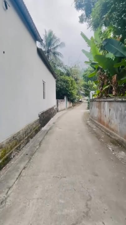 Đất nền Làng Cẩm 2, Xã Phục Linh, 1600m² - Giá chỉ 1 tỷ!