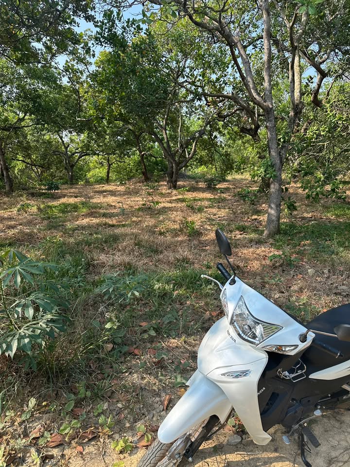 Đất nền xã Phú Trung 34.500m² giá 3.8 tỷ - Đầu tư sinh lời ngay!