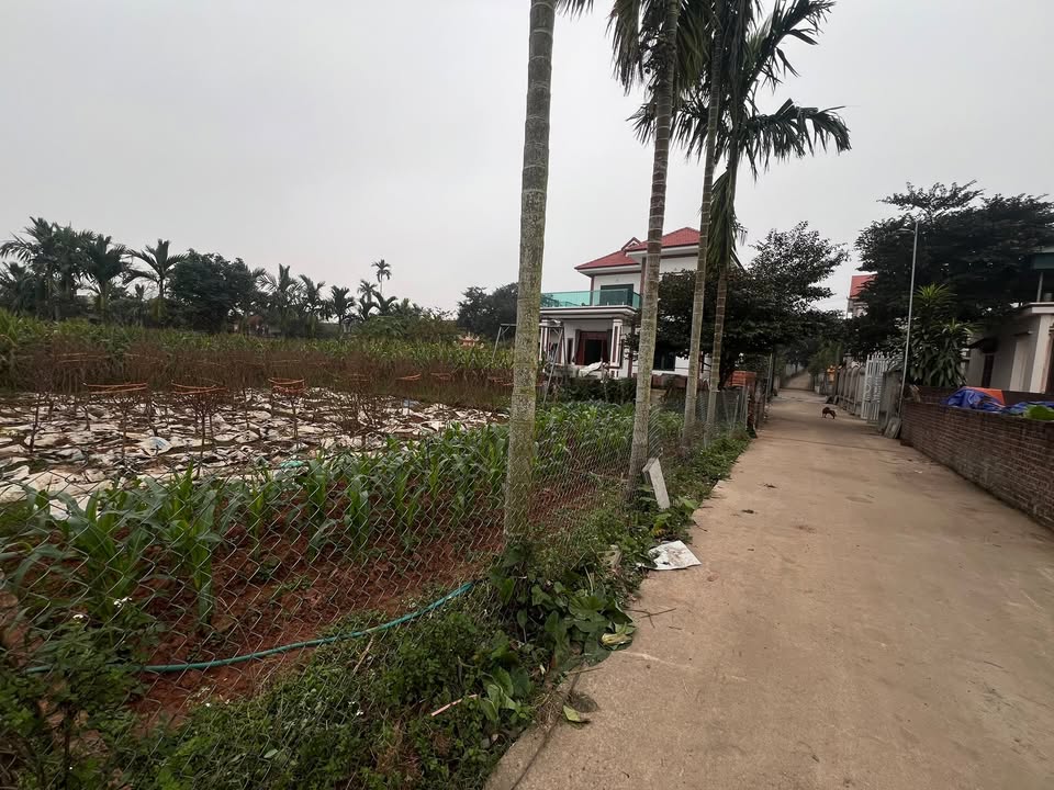 Đất nền Thanh Thủy 120m² giá 800 triệu - View sông Đà thoáng mát!