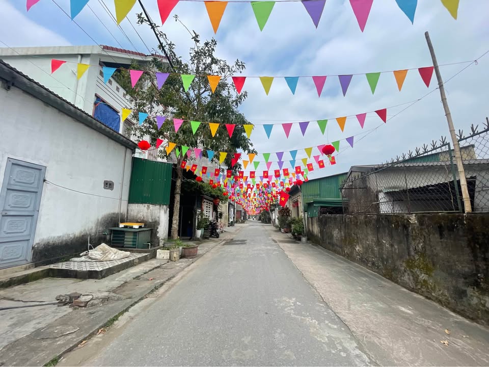 Đất nền đẹp tại khu đấu giá Trung Thành cũ, Phường Hưng Đông, 67m² chỉ 2 tỷ - Cơ hội đầu tư tuyệt vời!