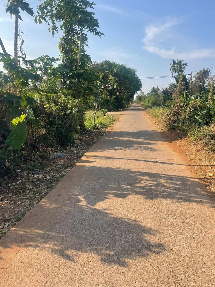 Đất thổ cư 500m² tại Chư KBô, Krông Búk - Giá chỉ 650 triệu, bớt lộc cho người thiện chí!