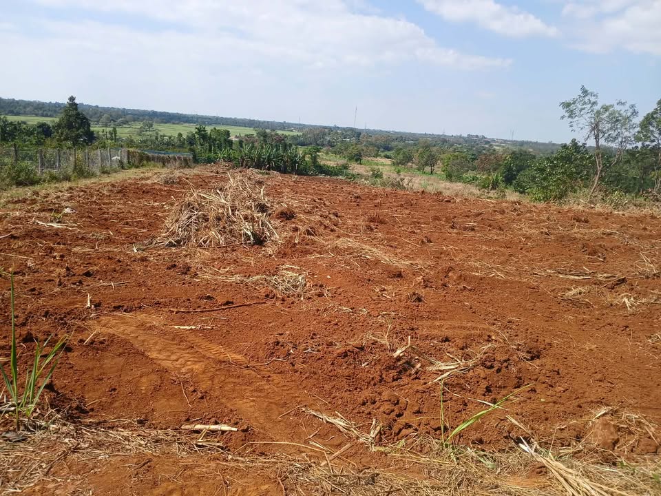 Đất nền 3 sào tại Quảng Tiến, Cư M'gar - Giá chỉ 1.35 tỷ, cơ hội đầu tư hấp dẫn!