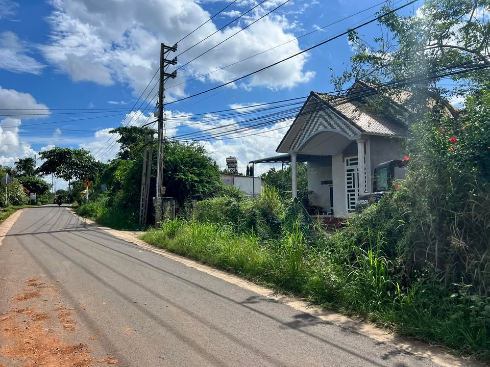 Đất nền Bảo Hòa, Xuân Lộc, 222m² - Bán gấp, giá thỏa thuận!