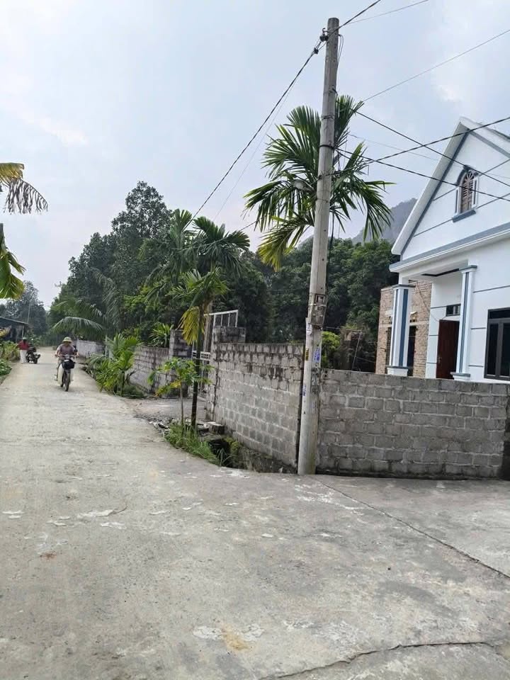 Lô đất xã Gia Lâm, Ninh Bình 115m² giá chỉ 4 tỷ - Vị trí đẹp, dân cư đông đúc!