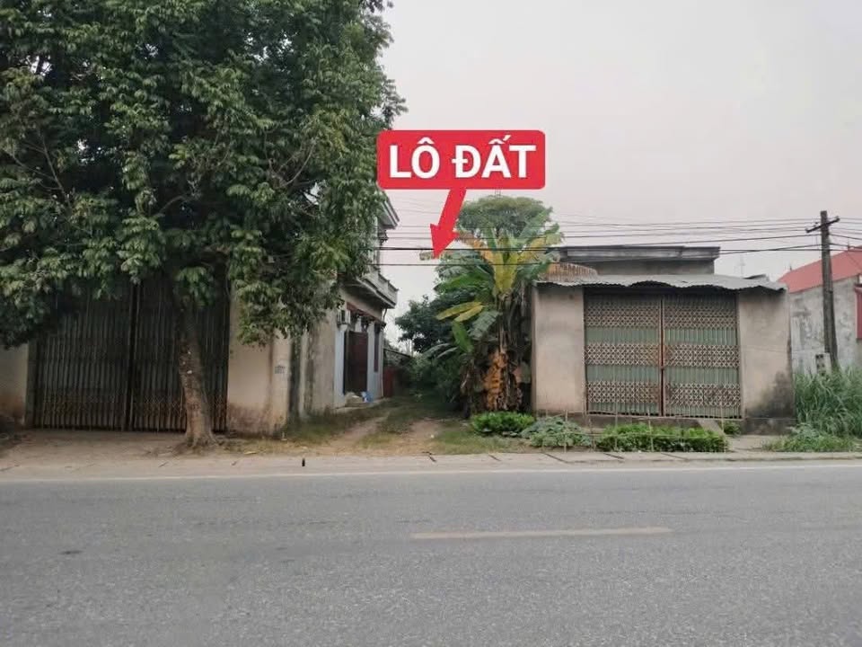 Đất nền mặt tiền Quốc lộ 2C, Bắc Bình, 120m² giá chỉ 2 tỷ - Đầu tư sinh lời ngay!