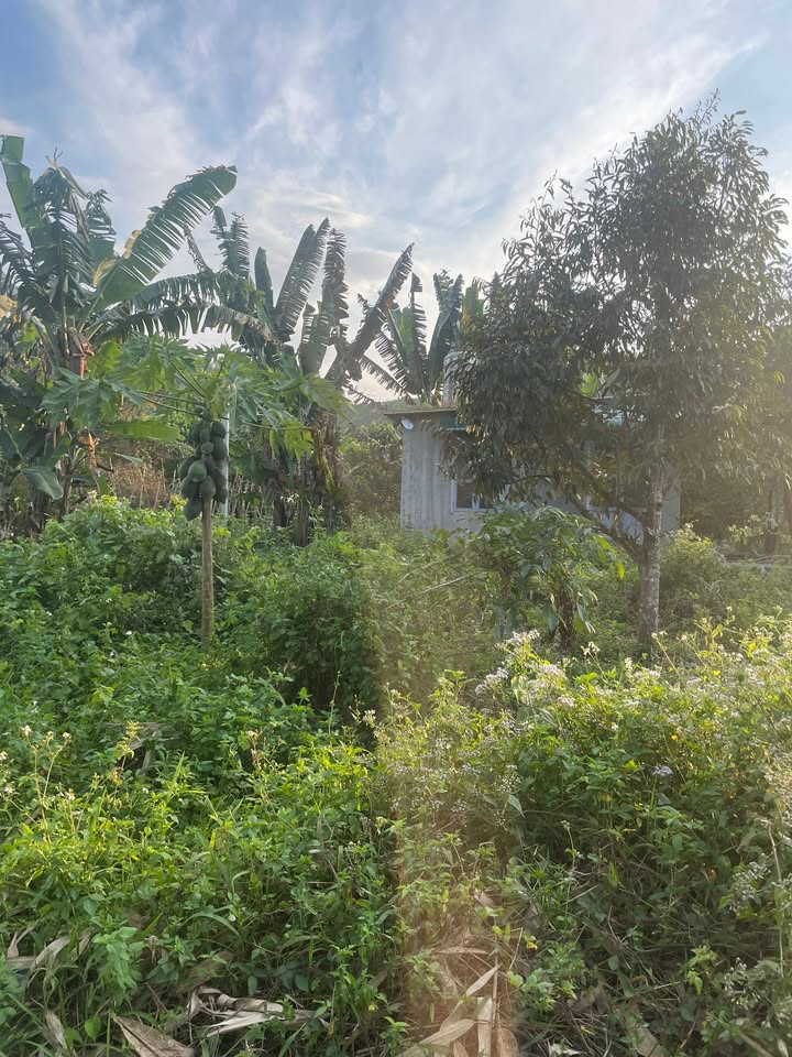 Đất nền Ba Cụm Bắc Khánh Hòa 5100m² giá rẻ - Cơ hội đầu tư hấp dẫn!