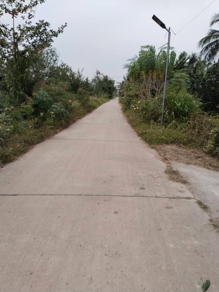 Đất nền đẹp 686m² tại Trung Thành, Vũng Liêm giá 500 triệu - Đầu tư sinh lời ngay!