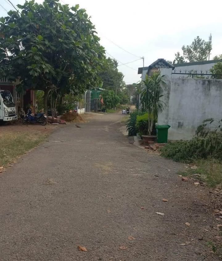 Đất nền tại xã Tân Thành, huyện Bù Đốp - Diện tích 125m², giá chỉ 1.25 tỷ!