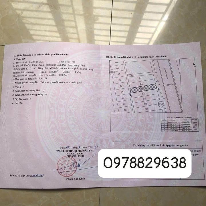 Đất kinh doanh mặt đường Thanh Niên kéo dài 128.2m² giá 6 tỷ - Vị trí đắc địa!