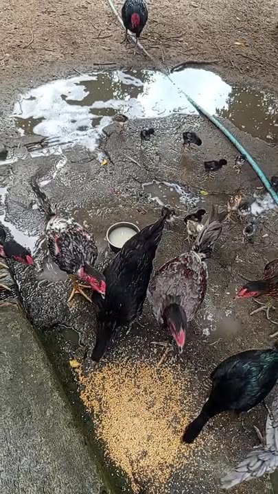 Đất nền xã Tam Nghĩa, huyện Núi Thành, 120m² giá 400 triệu - Cơ hội đầu tư hấp dẫn!