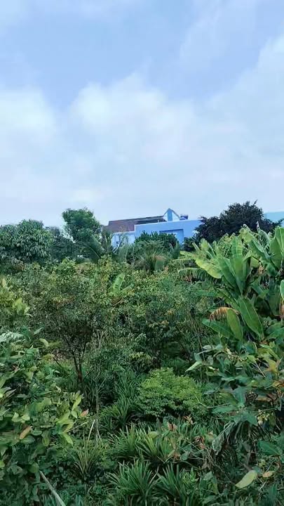 Nhà bán Cần Giuộc 68m² giá 2.7 tỷ - Hoàn thiện mới, giá tốt trước Tết!