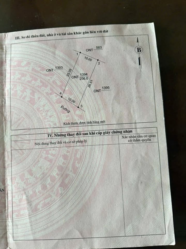 Đất thổ cư 256m² tại Xóm 10, xã Nam Thanh - Giá cực tốt chỉ 1xxx triệu