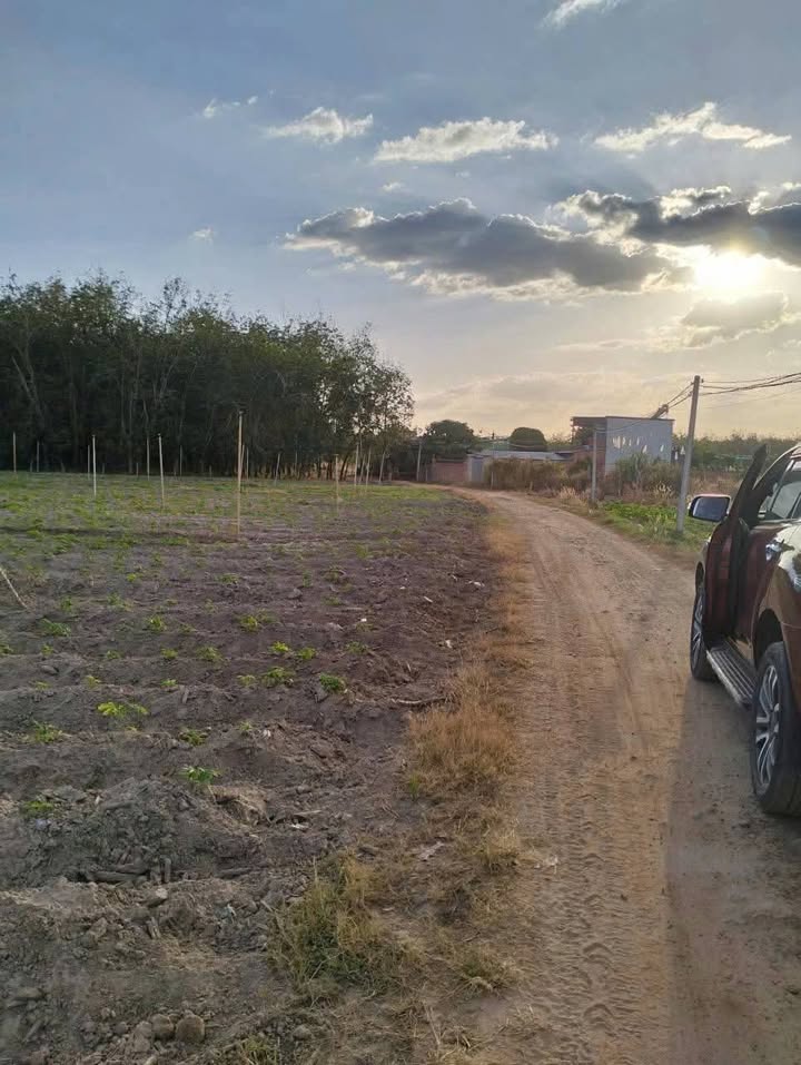 Đất nền xã Tân Bình, huyện Tân Biên, 20.000m² giá 300 triệu - Cơ hội đầu tư hấp dẫn!