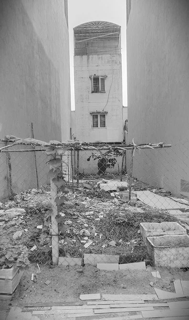 Đất mặt tiền đường D, Quận 12, 90m² giá 10.5 tỷ - Đầu tư sinh lời ngay!